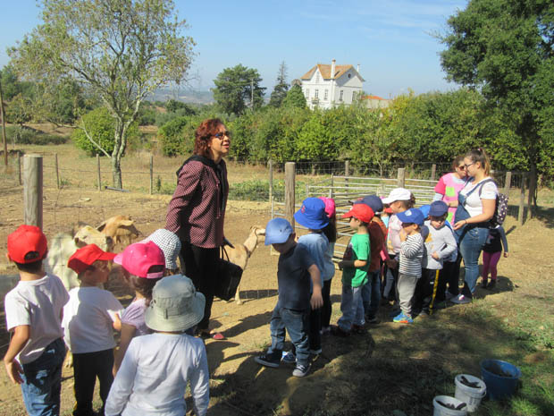 Jardim de Infância de Gavião – Visita à Quinta das Alfarrobeiras