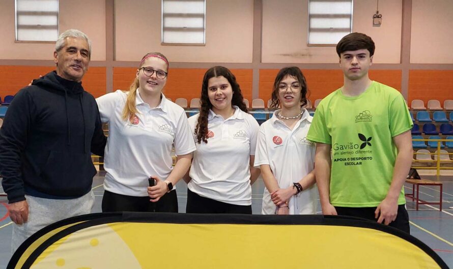 Finais Distritais de Badminton