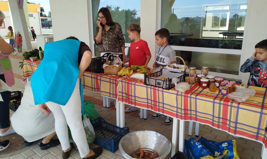 “Mercadinho na Escola” – Educação Pré-Escolar e 1º Ciclo