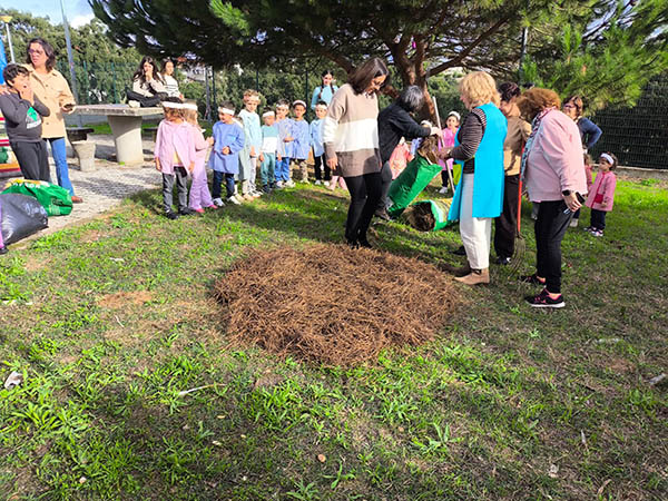 Dia de São Martinho