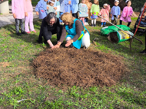 Dia de São Martinho