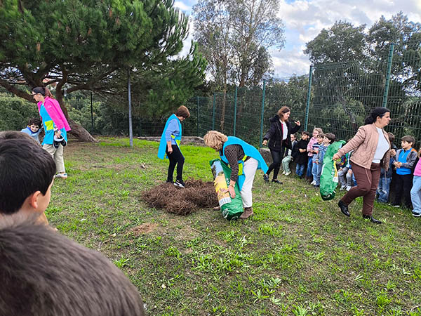 Dia de São Martinho