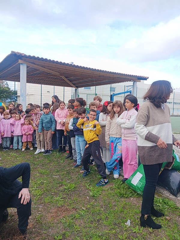 Dia de São Martinho