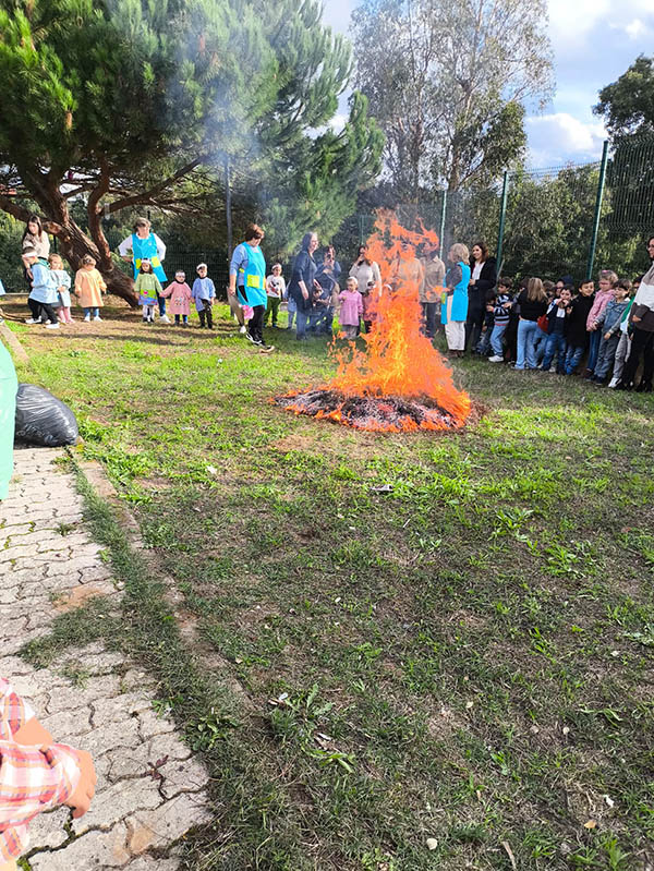 Dia de São Martinho