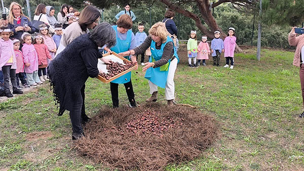 Dia de São Martinho