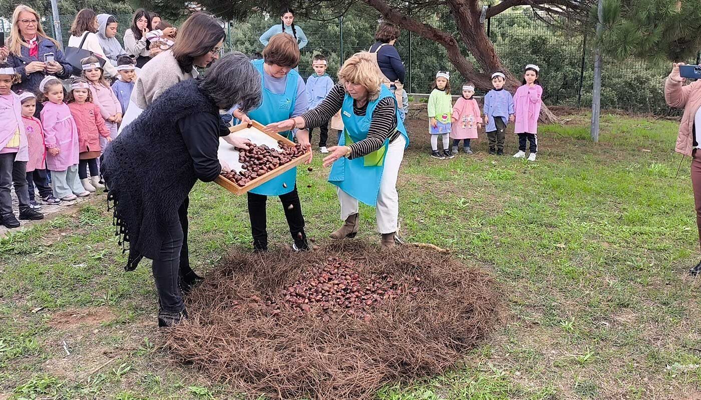 Dia de São Martinho