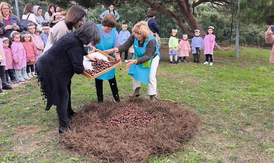 Dia de São Martinho