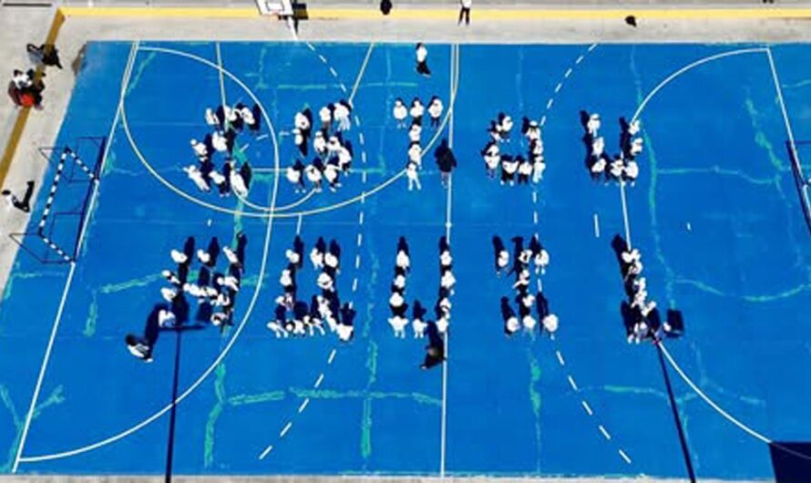 Programa “Estou Aqui! Crianças”