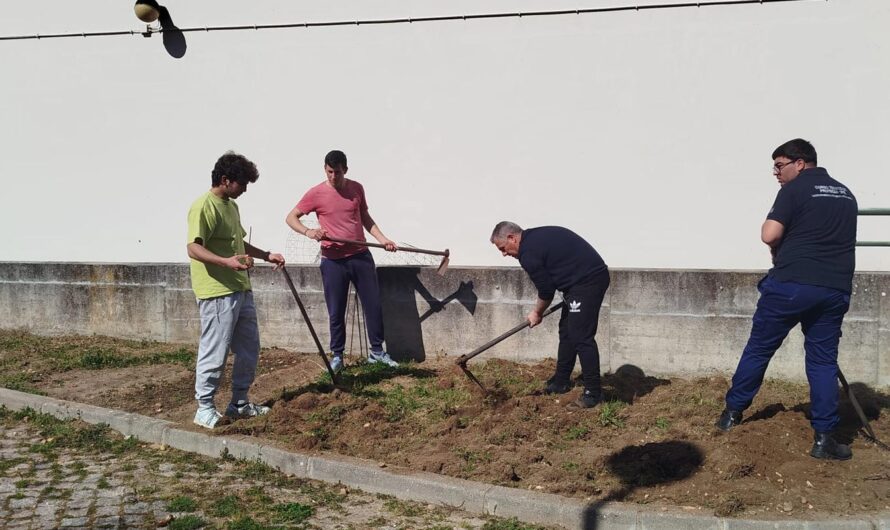 Aprender fazendo: Horta Biológica da Escola em preparação! 