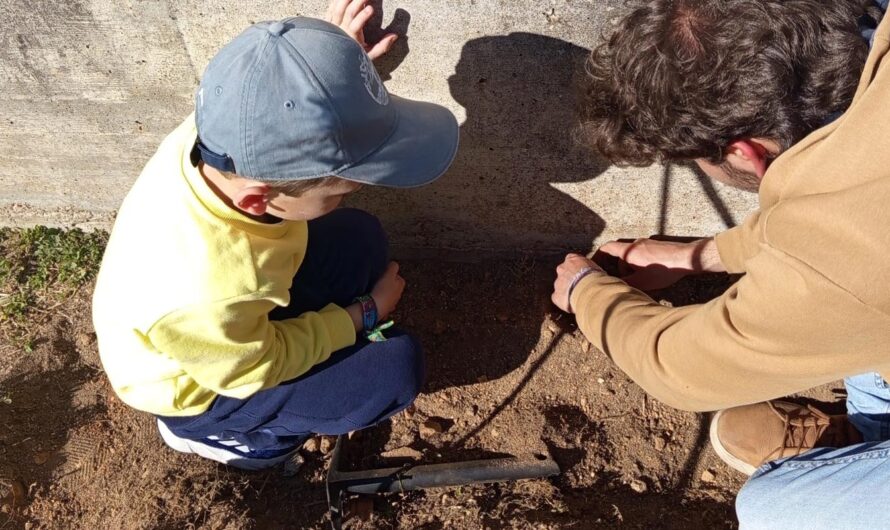 Horta Biológica na Escola: aprender com a terra e uns com os outros 