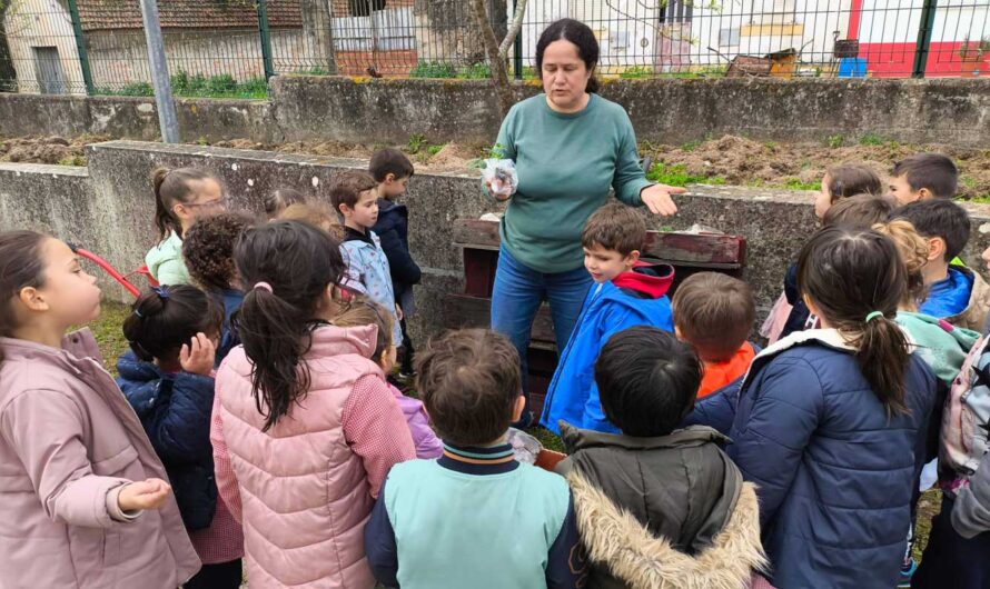 Horta pedagógica e biológica