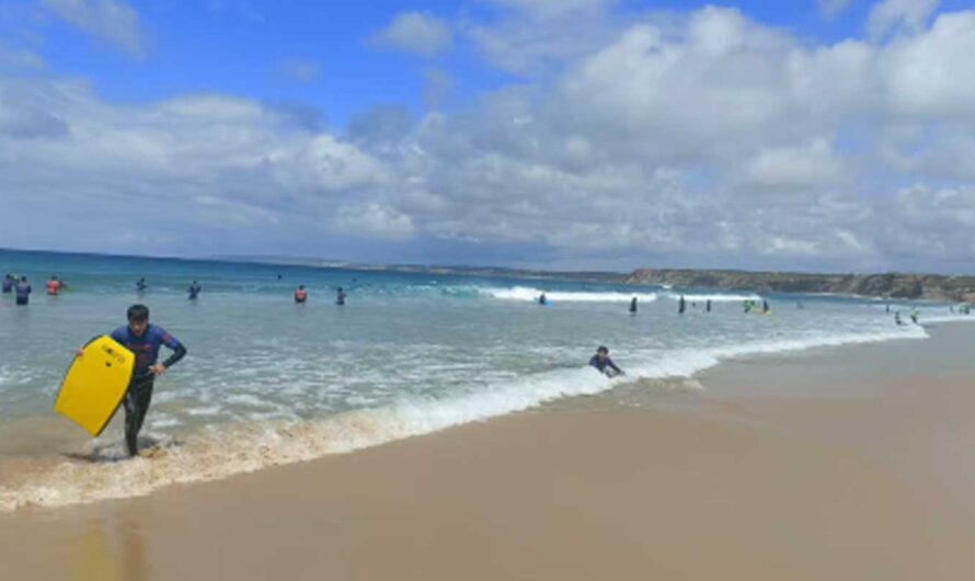 Visita de estudo à ilha do Baleal – Peniche