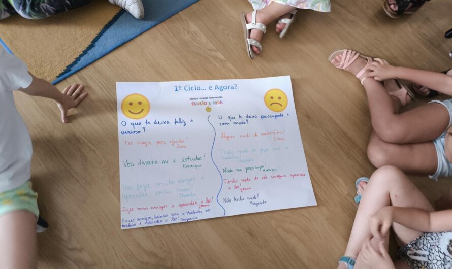 1.º Ciclo… e agora?